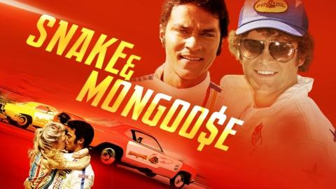 Snake & Mongoose (2013)