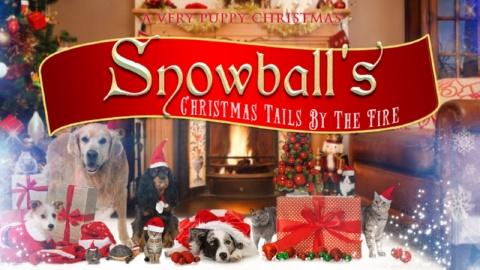 Snowball's Christmas Tails by the Fire (2017)