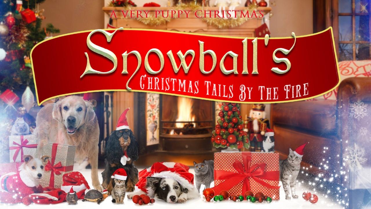 Snowball's Christmas Tails by the Fire (2017)