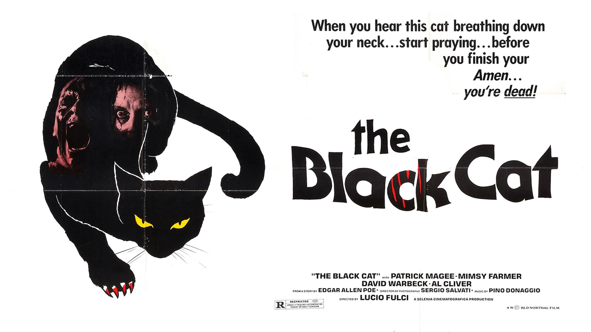 The Black Cat (1981)