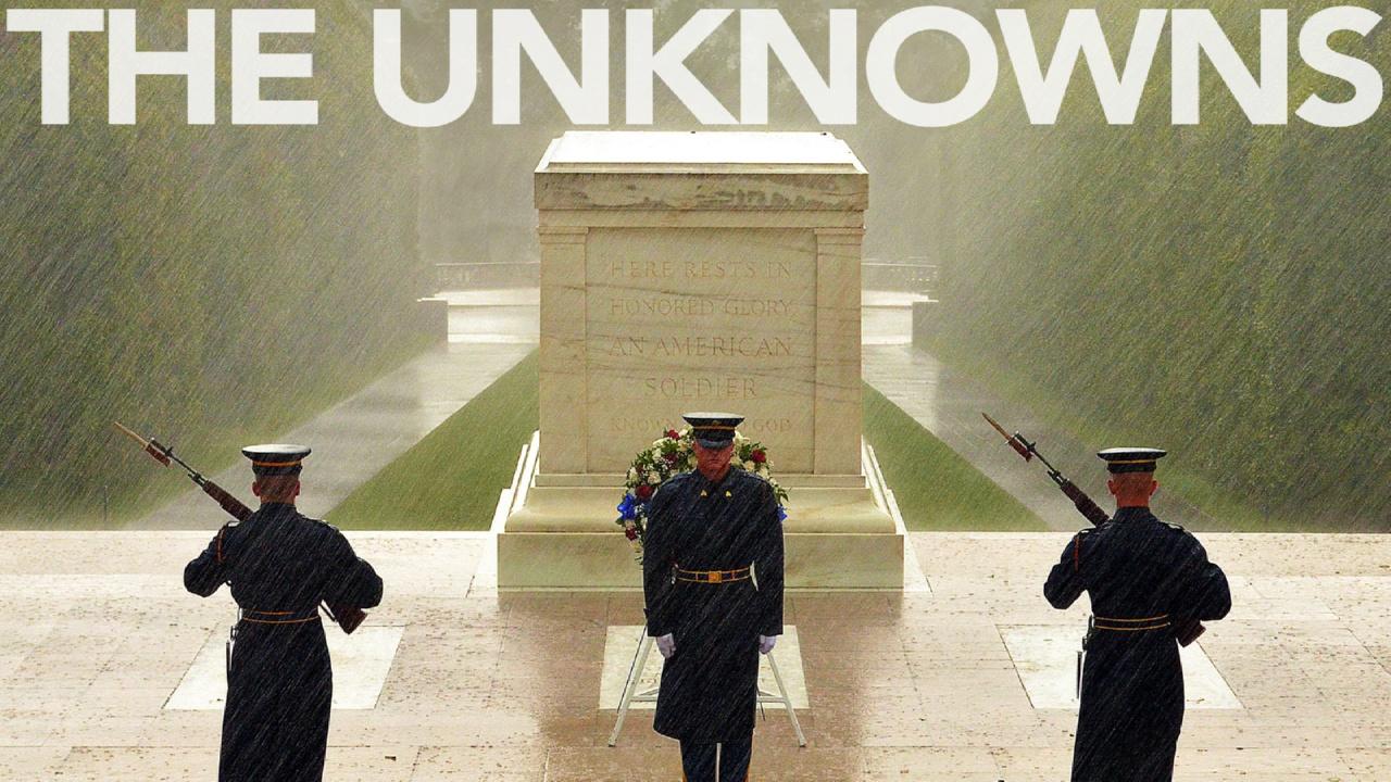 The Unknowns (2016)