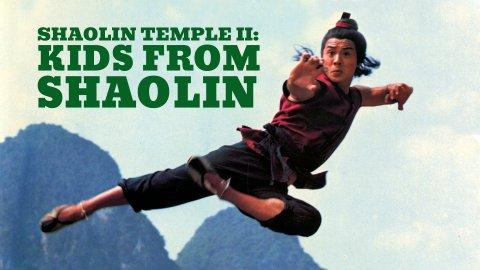 Shaolin Temple 2: Kids from Shaolin (1984)