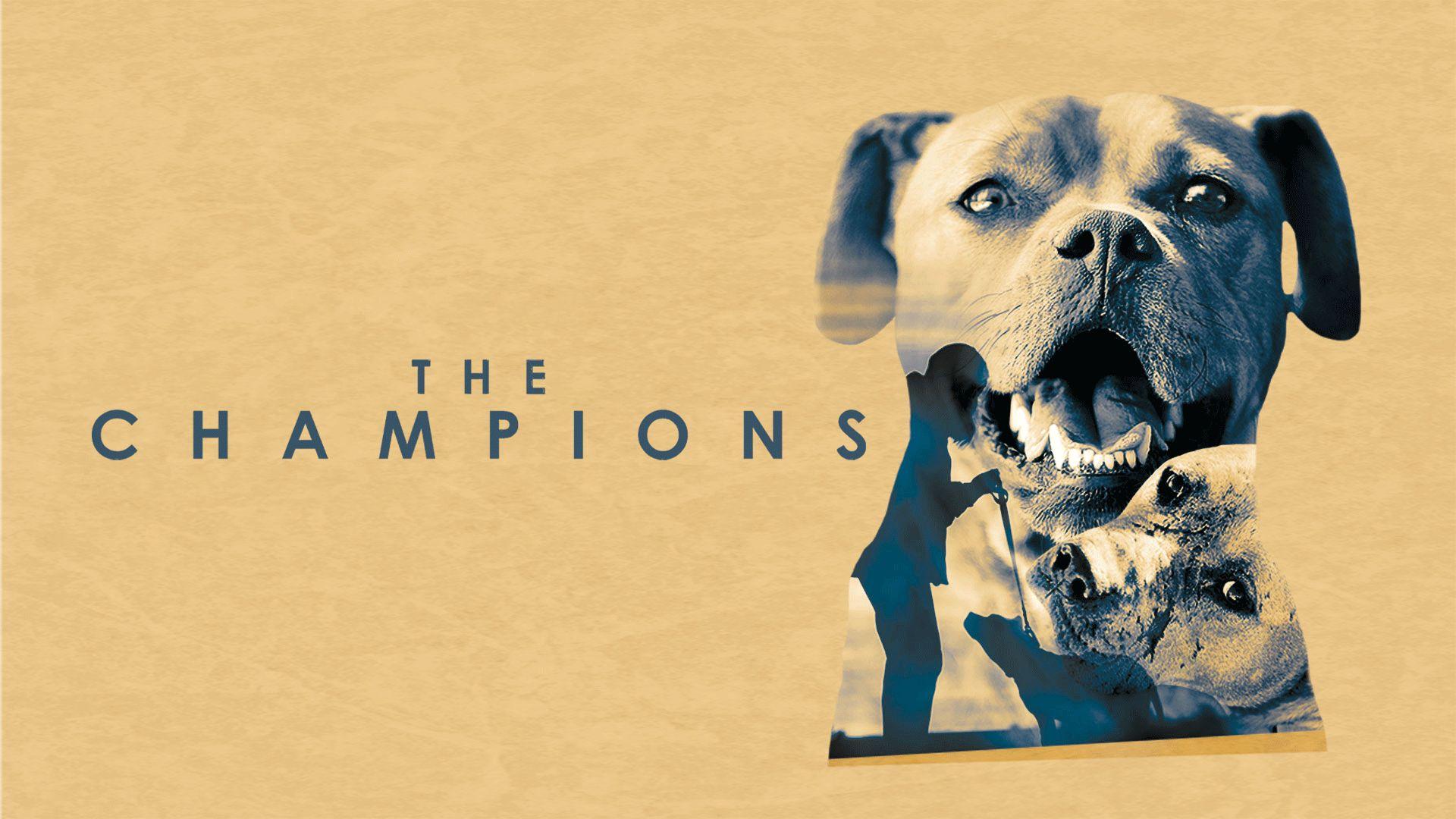 The Champions (2016)